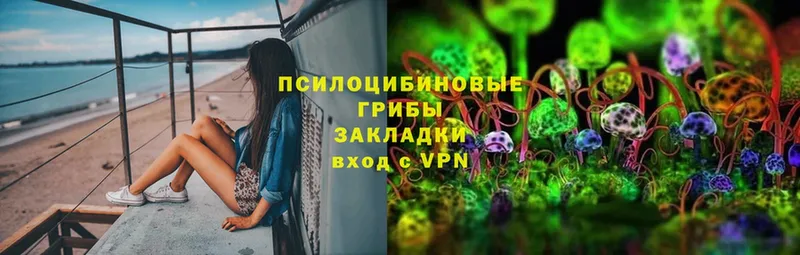 Галлюциногенные грибы MAGIC MUSHROOMS  ОМГ ОМГ ТОР  Красновишерск  купить наркоту 